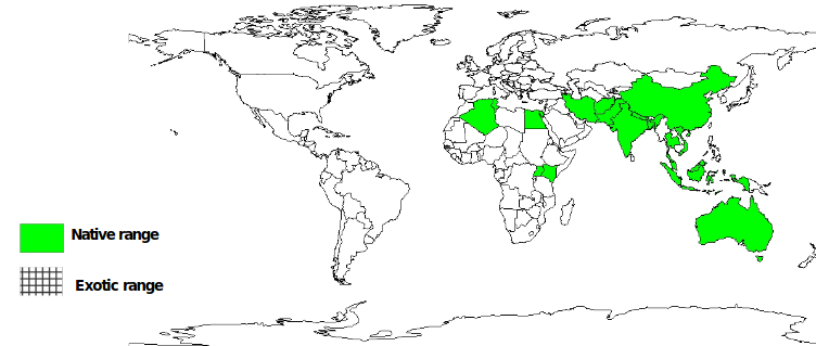 Documented Species Distribution