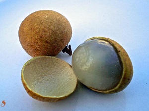 Longan fruit whole and showing the flesh