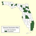 Loquat Distribution Map, wild populations