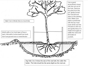 Planting method