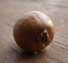 Nut with inner shell, Makawao, Maui, Hawaii