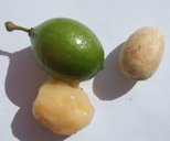 Close-up of fruit, fruitflesh and seed of Melicoccus bijugatus