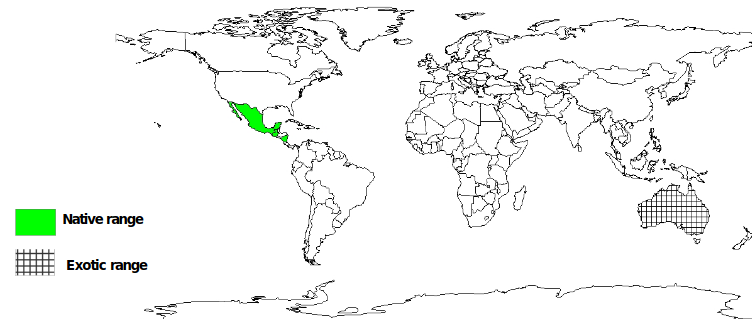 Documented Species Distribution