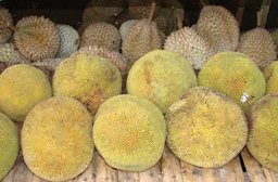 Marang and durian delight