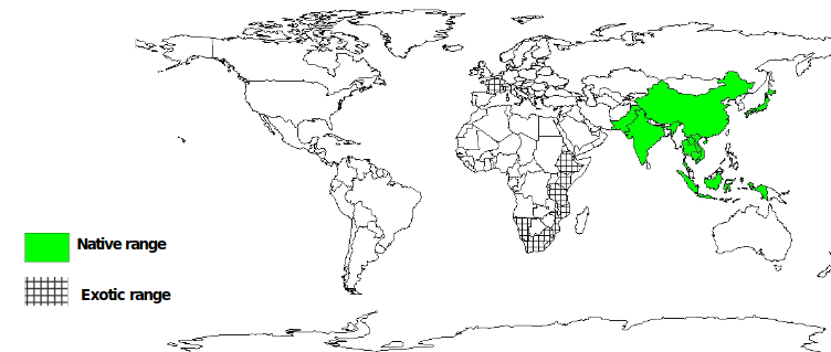 Documented Spedies Distribution