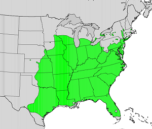 U.S. Geological Survey - Digital representation of Atlas of United States Trees