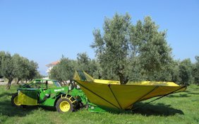 Olive tree shaker, self-propelled, hydraulic