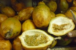 Maracua, fruto exótico de Colombia