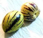Ripe pepino fruits