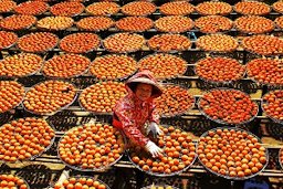 Dried persimmon lady