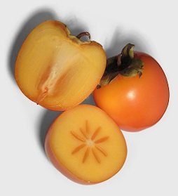 Persimmon