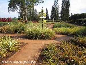 Display garden