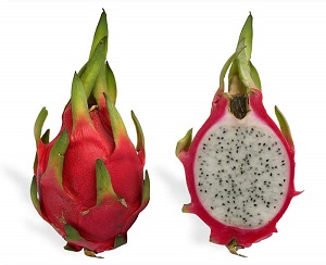 Pitaya Cross Section