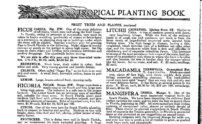 Reasoner's Nursery circa 1924 catalog