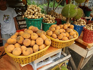 Santols. Centro, downtown, town centre of Dupax del Norte, Nueva Vizcaya, Philippines