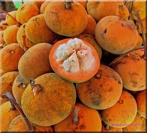 Gratorn fruit, Santol