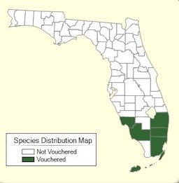 Sapodilla Distribution map