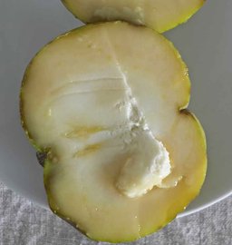 C. edulis, White sapote fruit cut in half