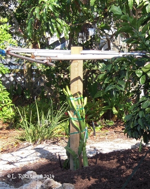 Support made of 4x4 wood and rebars covered with pvc