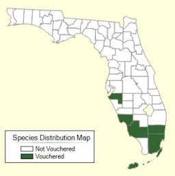 Sugar Apple Distribution Map