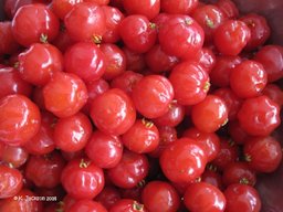Red Surinam cherries