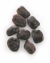 Tamarindus indica L. seeds