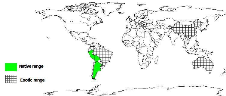 Documented species distribution