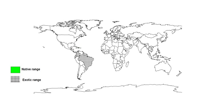 Documented Species Distribution