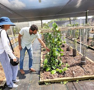 Dr. Elias Bassil shows Twyla Leigh the vanilla orchid’s develop