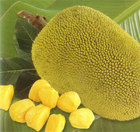 Jackfruit