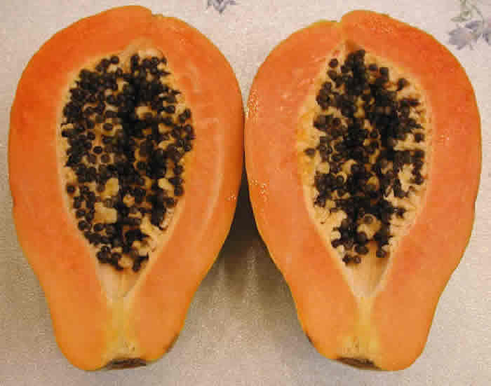 Papaya halves