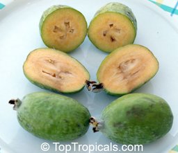 Pineapple guava fruit