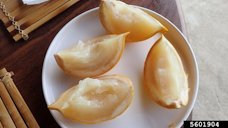 Abiu quartered with large seed removed from center