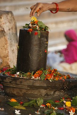 Bael leaves used in the worship of a lingam - the icon of Shiva. Hindu sculpture of Aikya Linga in varanasi, India