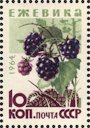 The Soviet Union 1964 CPA 3135 stamp (Wild Berries. Blackberry (Rubus fruticosus)