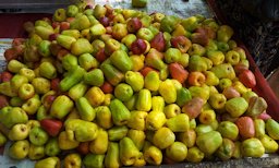 Cashew apples for sale near Sangareddy, Andhra Pradesh, India