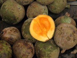 South American sapote, chupa; Quararibea cordata, Otavalo market, Ecuador