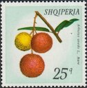 Strawberry-Tree Fruit. Stamp of Albania 1972.