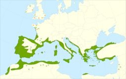 Distribution map of Arbutus unedo (strawberry tree)