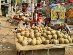 Hawker selling wood apples in Dhaka, Bangladesh