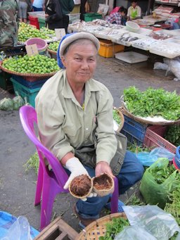 Wood Apple Thailand