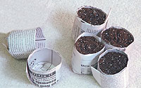 Newspaper pots