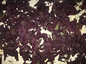 Drying basil leaves