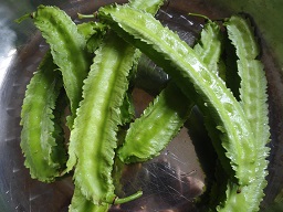 Psophocarpus tetragonolobus, also know as the winged bean, purchased in Haikou, Hainan, China