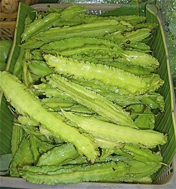 winged beans, goa beans (Psophocarpus tetragonolobus)