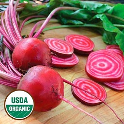 Beet Chioggia