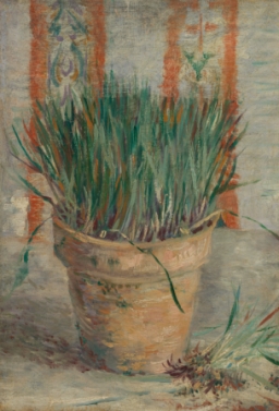 Flowerpot with Garlic Chives