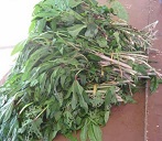 Bundles of Pele at Talamahu Market, Tonga