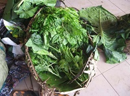 Pele leaves wrapped in Banana leaves for sale at Port Vila Market, Vanuatu