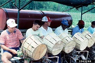 Transplanting. Two persons alternate in placing cuttings for planting in one row. County Agent P. Westerbeek third from left. (Jun90).